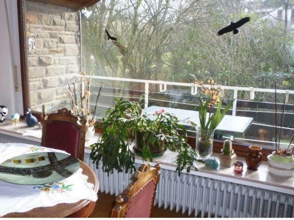 Ferienwohnung Land des Friedens in Nettersheim / Eifel Exterior foto